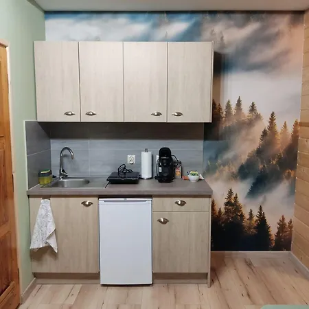 Pensión U Drwala 3*