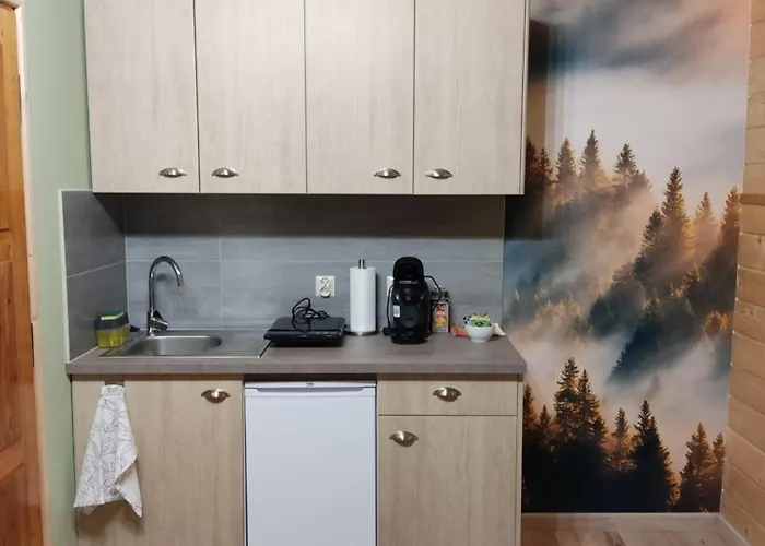 Affittacamere U Drwala 3*